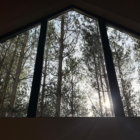 Domek Szumisosna2 Zyciny Экстерьер фото