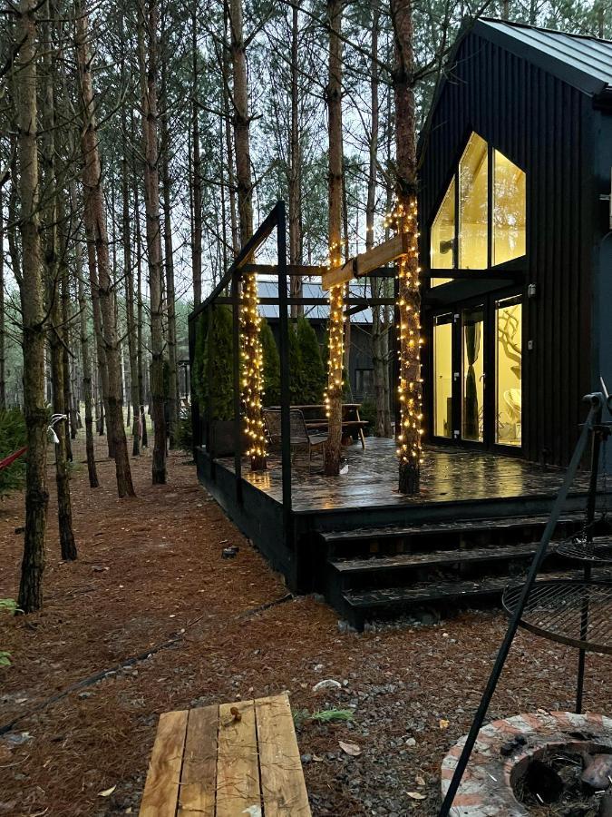 Domek Szumisosna2 Zyciny Экстерьер фото